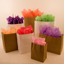 White and Recycled Kraft Shopping Bags